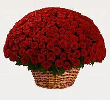 Премиум букет из: Розы #REPLACE_PRED# Палехе